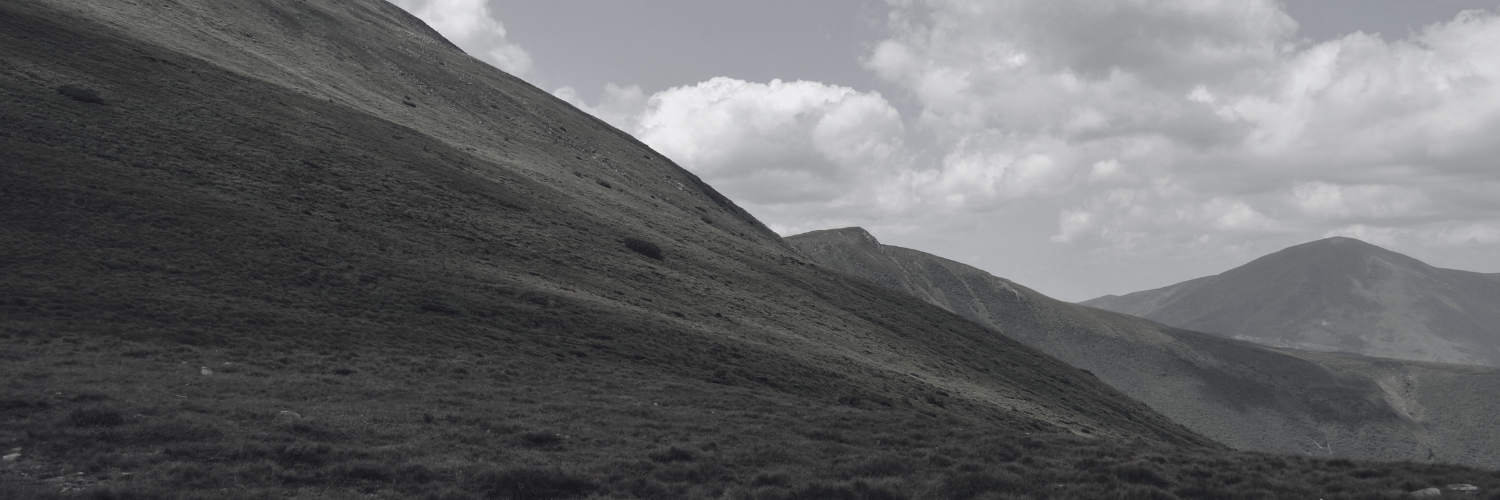 The Hillside