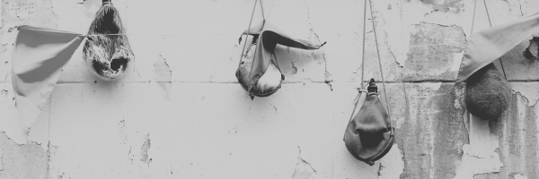 New wine, new wineskin – Part 2: The cost of rigidity